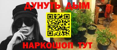 индика Пушкино