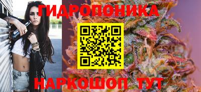 индика Пушкино
