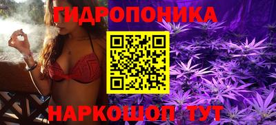 индика Пушкино